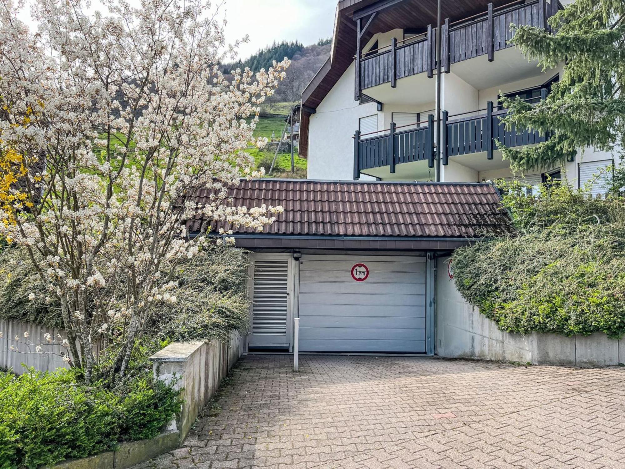 Apartment Sonnenblick II By Interhome Todtnauberg Exterior foto
